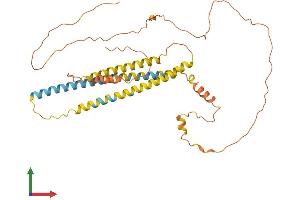 AlphaFold protein structure predicition of Human Recombinant NPIPA7 Protein, UniprotID E9PJI5 (NPIPA7 Protein (AA 1-369) (His tag))