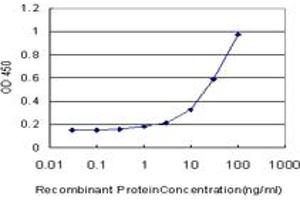 Detection limit for recombinant GST tagged VDR is approximately 1ng/ml as a capture antibody. (Vitamin D Receptor antibody  (AA 1-427))