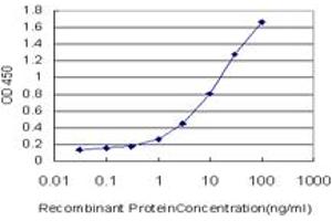 Detection limit for recombinant GST tagged ETV5 is approximately 0. (ETV5 antibody  (AA 181-290))