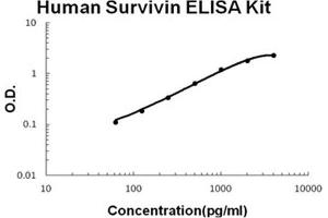 Human Survivin PicoKine ELISA Kit standard curve (Survivin ELISA Kit)