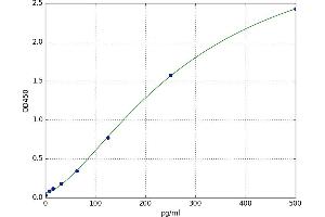 Notch 1 (NOTCH1) ELISA Kit