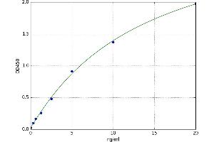 Transformer 2 beta Homolog (TRA2B) ELISA Kit