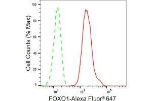 Flow cytometric analysis of FOXO1 expression in HepG2 cells using FOXO1 antibody (ABIN7798642), 1:2,000).