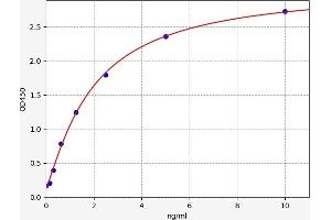 Typical standard curve (FNDC5 ELISA Kit)