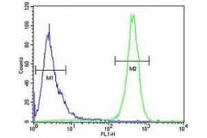 Beclin1 antibody flow cytometric analysis of HeLa cells (right histogram) compared to a negative control (left histogram). (Beclin 1 antibody  (AA 95-132))
