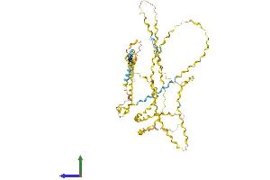 AlphaFold protein structure predicition of Human Recombinant COL23A1 Protein, UniprotID Q86Y22