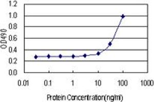 Sandwich ELISA detection sensitivity ranging from 10 ng/mL to 100 ng/mL. (BAG5 (Human) Matched Antibody Pair)