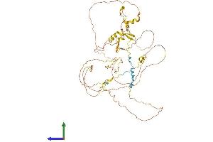 AlphaFold protein structure predicition of Mouse Recombinant Rai2 Protein, UniprotID Q9QVY8