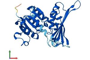 AlphaFold protein structure predicition of Human Recombinant ASPDH Protein, UniprotID A6ND91