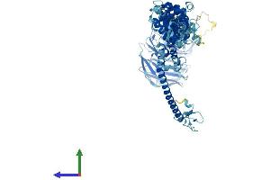 AlphaFold protein structure predicition of Human Recombinant VPS39 Protein, UniprotID Q96JC1 (VPS39 Protein (AA 1-886) (His tag))