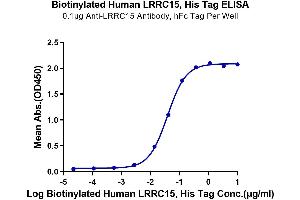 Immobilized Anti-LRRC15 Antibody, hFc Tag at 1 μg/mL (100 μL/well) on the plate. (LRRC15 Protein (AA 22-538) (His-Avi Tag,Biotin))