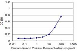 Detection limit for recombinant GST tagged MMP3 is approximately 3ng/ml as a capture antibody. (MMP3 antibody  (AA 22-131))