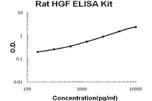Rat HGF PicoKine ELISA Kit standard curve