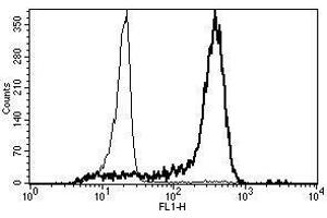 A typical staining pattern with the B-A8 monoclonal antibody of monocytes (CD14 antibody)