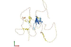 AlphaFold protein structure predicition of Human Recombinant SOX9 Protein, UniprotID P48436 (SOX9 Protein (AA 1-509) (His tag))