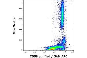 Flow cytometry surface staining pattern of human peripheral whole blood stained using anti-human CD58 (MEM-63) purified antibody (concentration in sample 1,67 μg/mL, GAM APC). (CD58 antibody)