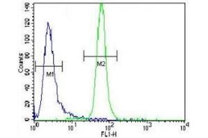 MUSK antibody flow cytometric analysis of CEM cells (right histogram) compared to a negative control cell (left histogram). (MUSK antibody)