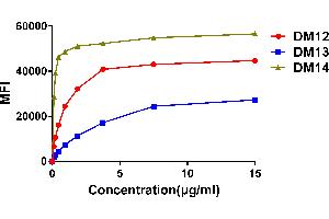 Affinity ranking of different Rabbit anti-CD22 mAb clones by titration of different concentration onto Raji cells. (CD22 antibody  (AA 20-687))
