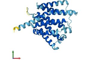 Protein Structure (PS) image for Transmembrane Protein 101 (TMEM101) (AA 1-257) protein (His tag) (ABIN7544382)