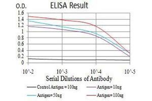 Black line: Control Antigen (100 ng),Purple line: Antigen (10 ng), Blue line: Antigen (50 ng), Red line:Antigen (100 ng) (Estrogen Receptor alpha antibody  (AA 2-185))