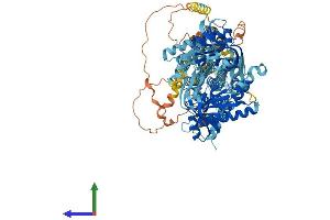Protein Structure (PS) image for Adenylate Cyclase 6 (ADCY6) (AA 1-1165) protein (His tag) (ABIN7563578)