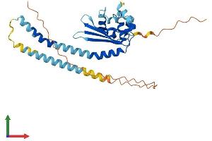 Protein Structure (PS) image for Testis Specific Protein, Y-Linked 8 (TSPY8) (AA 1-308) protein (His tag) (ABIN7544783)