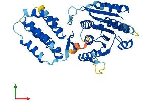 AlphaFold protein structure predicition of Human Recombinant FAM86B2 Protein, UniprotID P0C5J1 (FAM86B2 Protein (AA 1-330) (His tag))