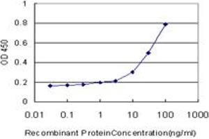 Detection limit for recombinant GST tagged RAP1A is approximately 1ng/ml as a capture antibody. (RAP1A antibody  (AA 1-184))