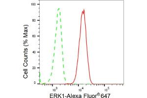 Flow cytometric analysis of ERK1 expression in C2C12 cells using ERK1 antibody (ABIN7799449), 1:2,000). (Recombinant ERK1 antibody)