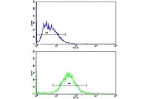 Flow cytometric analysis of HepG2 cells using Cyclin A2 antibody (bottom histogram) compared to a negative control (top histogram). (Cyclin A antibody  (AA 51-84))