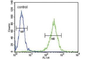 Flow Cytometry (FACS) image for anti-Hydroxysteroid (17-Beta) Dehydrogenase 12 (HSD17B12) antibody (ABIN3004142) (HSD17B12 antibody)