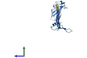 AlphaFold protein structure predicition of Human Recombinant RPS6 Protein, UniprotID P62753 (RPS6 Protein (AA 1-249) (His tag))