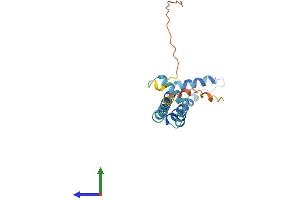 AlphaFold protein structure predicition of Mouse Recombinant Bod1 Protein, UniprotID Q5SQY2 (BOD1 Protein (AA 1-173) (His tag))