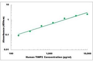 Representative Standard Curve