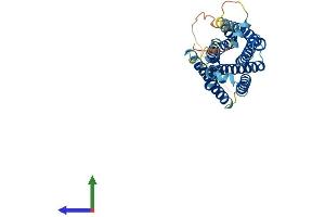 AlphaFold protein structure predicition of Mouse Recombinant Mrgprh Protein, UniprotID Q99MT8 (MRGPRH Protein (AA 1-321) (His tag))