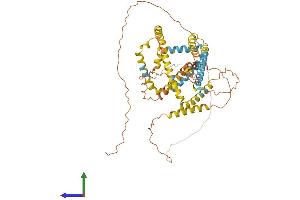 AlphaFold protein structure predicition of Mouse Recombinant Plin1 Protein, UniprotID Q8CGN5