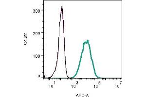 Direct flow cytometry of α-Bungarotoxin in live intact rat  cells cells. (alpha-Bungarotoxin protein (Atto 633))