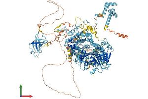 AlphaFold protein structure predicition of Mouse Recombinant Dhx8 Protein, UniprotID A2A4P0 (DHX8 Protein (AA 1-1244) (His tag))