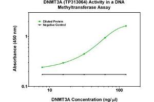 Bioactivity measured with Activity Assay (DNMT3A Protein (Transcript Variant 3) (Myc-DYKDDDDK Tag))