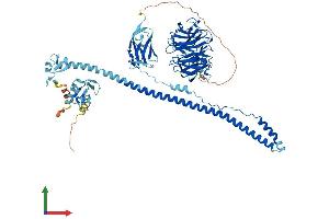 AlphaFold protein structure predicition of Human Recombinant TRIM2 Protein, UniprotID Q9C040 (TRIM2 Protein (AA 1-744) (His tag))