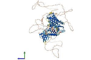Protein Structure (PS) image for Pleckstrin Homology Domain Containing, Family M (With RUN Domain) Member 2 (PLEKHM2) (AA 1-1018) protein (His tag) (ABIN7564240)