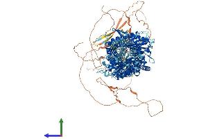 AlphaFold protein structure predicition of Mouse Recombinant Ptch1 Protein, UniprotID Q61115