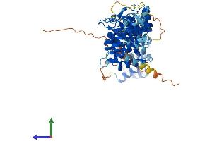 AlphaFold protein structure predicition of Human Recombinant ANKDD1B Protein, UniprotID A6NHY2