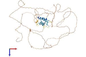 AlphaFold protein structure predicition of Mouse Recombinant Tchhl1 Protein, UniprotID Q9D3P1 (TCHHL1 Protein (AA 1-638) (His tag))