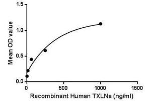 The binding activity of TXLNa with PDIA3