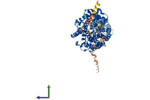 AlphaFold protein structure predicition of Mouse Recombinant Slc6a7 Protein, UniprotID Q6PGE7