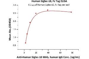 Immobilized Human Siglec-10, Fc Tag (ABIN6938926,ABIN6950987) at 5 μg/mL (100 μL/well) can bind A Siglec-10 MAb, human IgG with a linear range of 0.