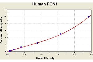 Diagramm of the ELISA kit to detect Human PON1with the optical density on the x-axis and the concentration on the y-axis.