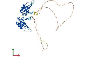 Protein Structure (PS) image for Heterogeneous Nuclear Ribonucleoprotein A0 (HNRNPA0) (AA 1-305) protein (His tag) (ABIN7551511)