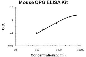 ELISA image for Tumor Necrosis Factor (Ligand) Superfamily, Member 11 (TNFSF11) ELISA Kit (ABIN6719943)
